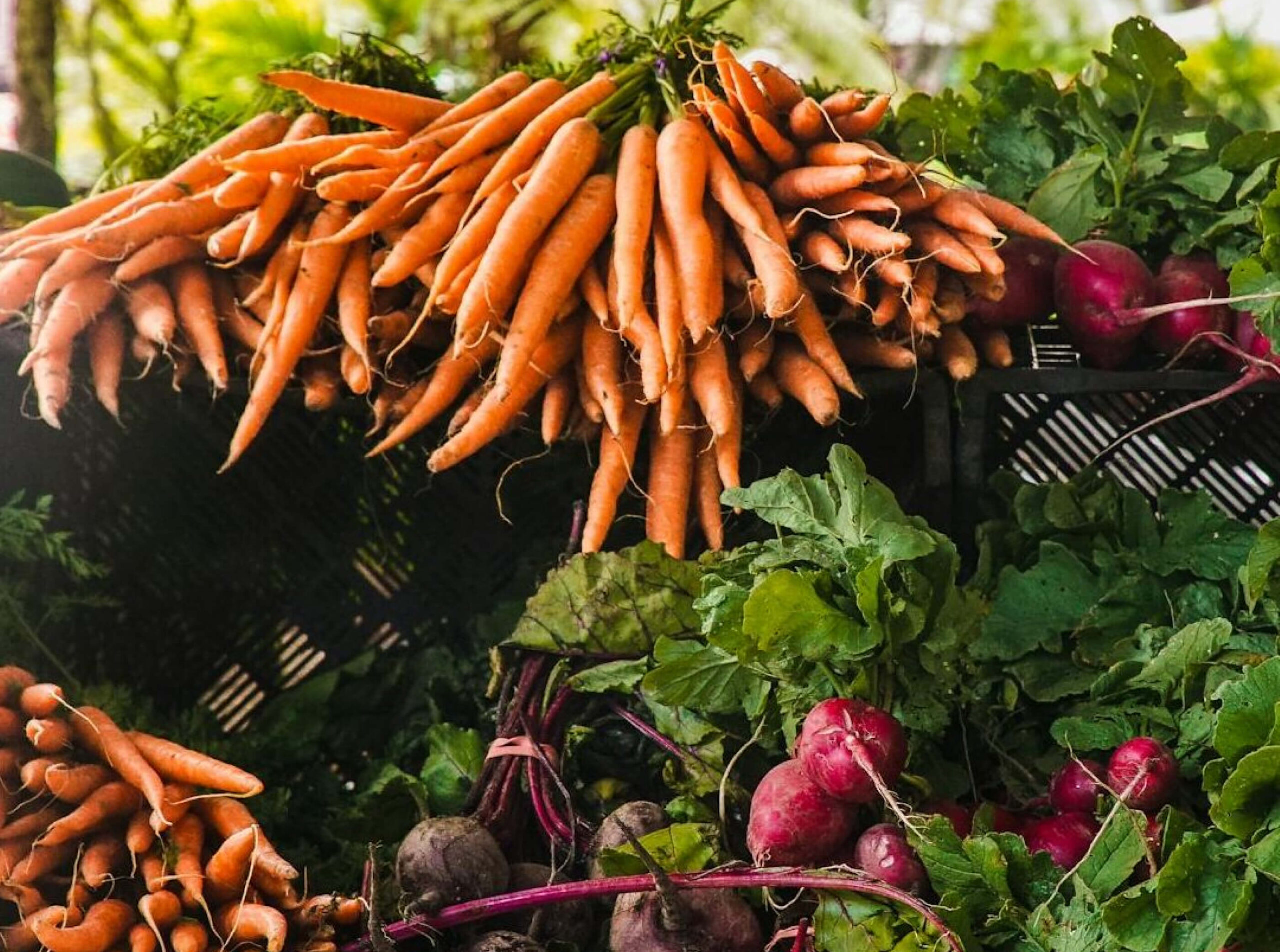 Fresh produce displayed for shoppers